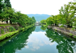 緑が映える琵琶湖疏水